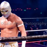 Luchadore