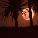 Super Moon Rising over Playa Del Rey